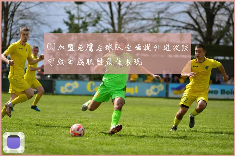 CJ加盟老鹰后球队全面提升进攻防守效率成联盟最佳表现