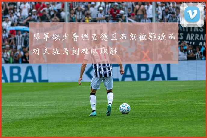 绿军缺少普理查德且布朗被驱逐面对文班马刺难以取胜
